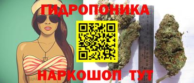 сатива Краснознаменск