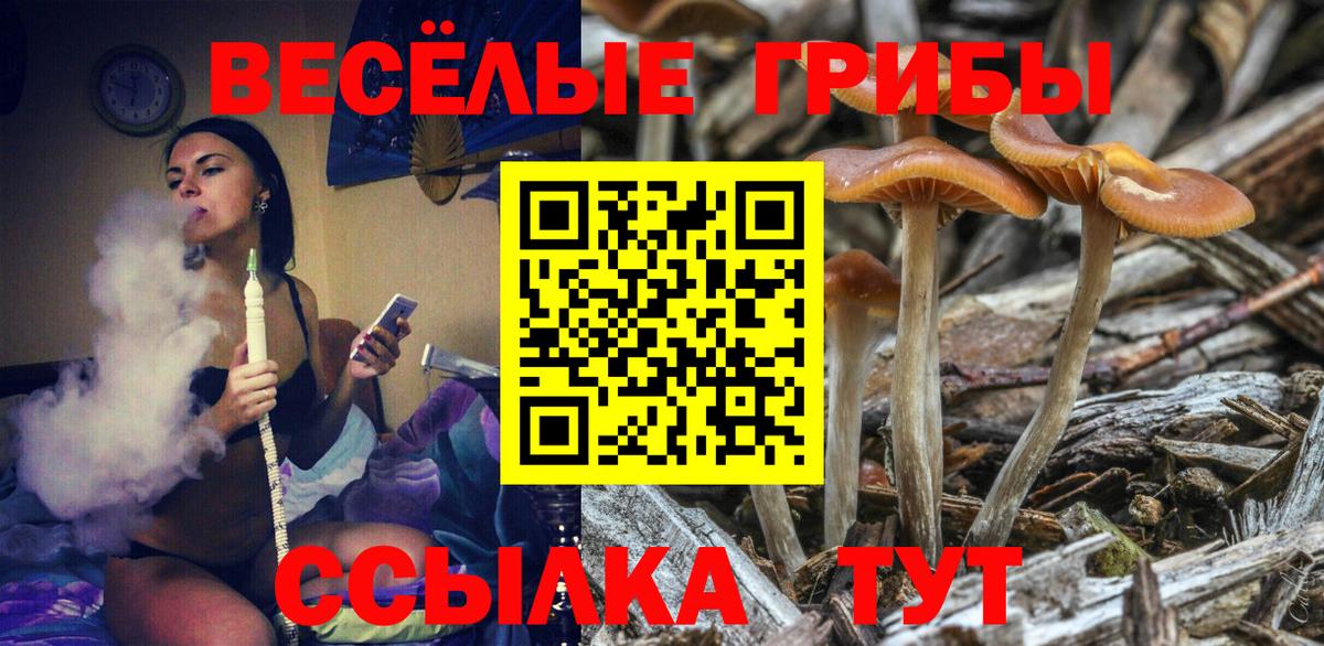Псилоцибиновые грибы GOLDEN TEACHER Елабуга